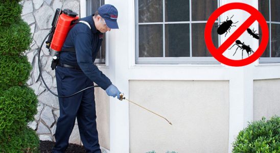 Çine Akrep İlaçlama böcek ilaçlama ve haşere kontrolü — ilaclama-tr.com